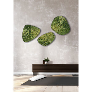 Moosdots-Set Moosbild Maris