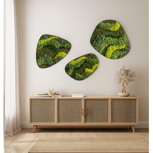 Moosdots-Set Moosbild Walcum