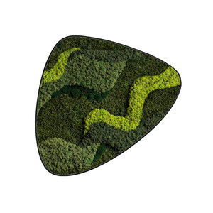 Moosdot tres Moosbild Walcum