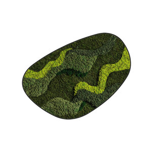 Moosdots Cuatro Moosbild Walcum