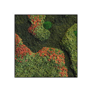 Quadratisches Moosbild Terra