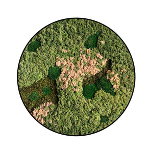 Rundes Moosbild Rosaine