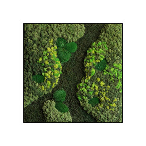 Quadratisches Moosbild Cyrus