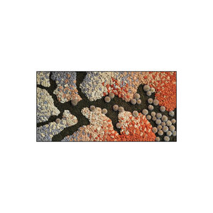 Rechteckiges Moosbild Lavi