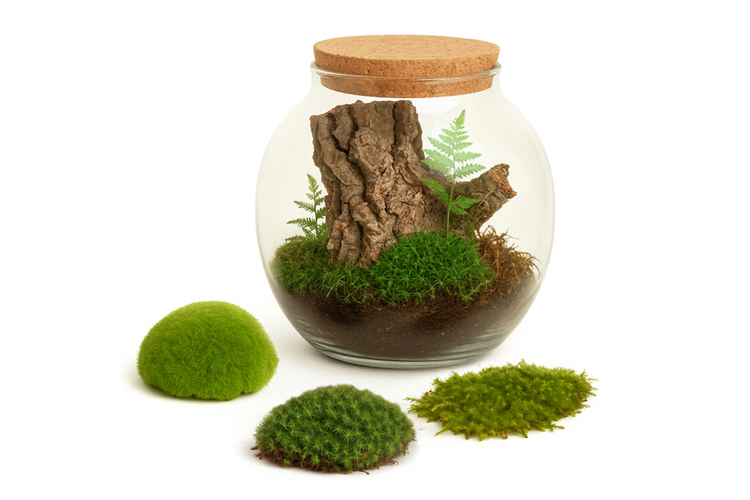Terrarium Moos