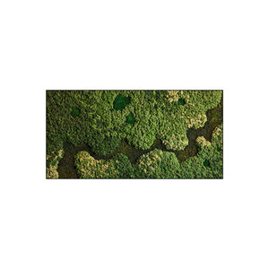 Rechteckiges Moosbild Vitalis