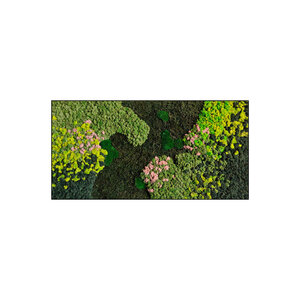 Rechteckiges Moosbild Evelae