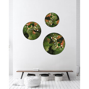 Rundes Moosbild set Avalon im Blumen-Stil