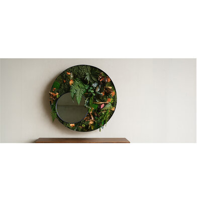 Moosspiegel: die perfekte Balance zwischen Natur und Design