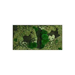 Rechteckiges Moosbild Menthas