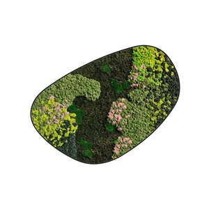 Moosdots Cuatro Moosbild Evelae