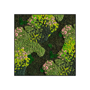 Quadratisches Moosbild Evelae