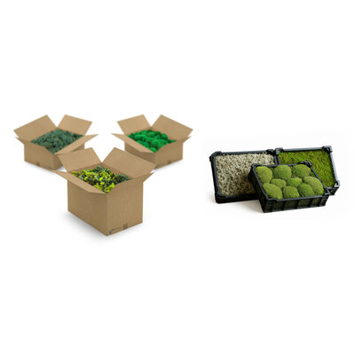 Lose Moose für kreative Innenraumprojekte