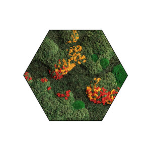 Sechseckiges Moosbild Pepper