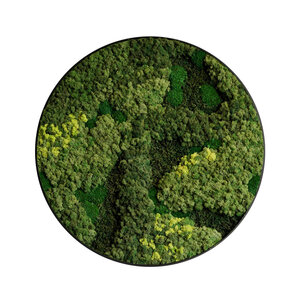 Rundes Moosbild Evey