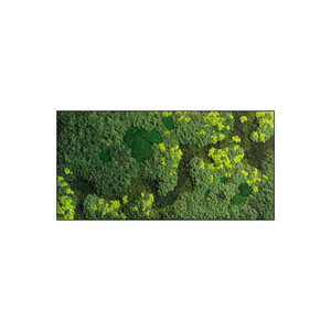 Rechteckiges Moosbild Life