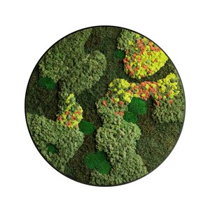 Rundes Moosbild Kaisa