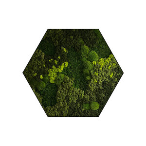 Sechseckiges Moosbild Jellina