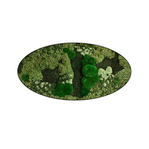 Ovales Moosbild Menthas