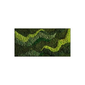 Rechteckiges Moosbild Walcum