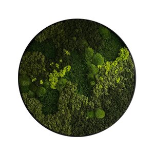 Rundes Moosbild Jellina