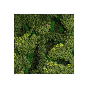 Quadratisches Moosbild Evey