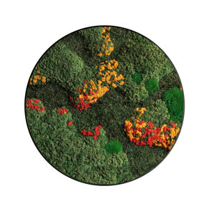 Rundes Moosbild Pepper