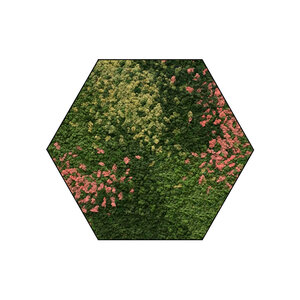 Sechseckiges Moosbild Arya