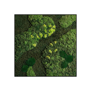 Quadratisches Moosbild Oletta