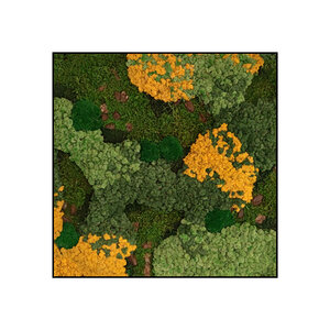 Quadratisches Moosbild Gobi