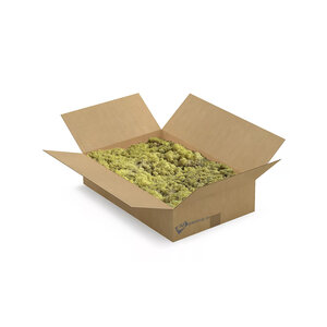 Rentiermoos Box L Calma 0,20 m²