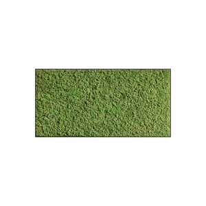 Rechteckiges Moosbild Dimidium