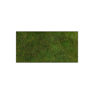 Rechteckiges Moosbild Plana Lucem