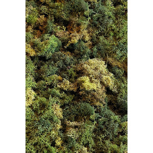 Moosprobe ECO Moos mix Vetus