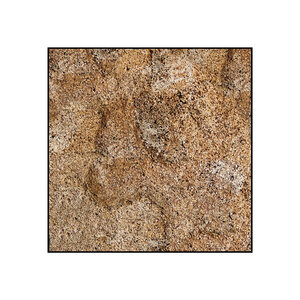 Quadratisches Schilfbild inklusive Rahmen