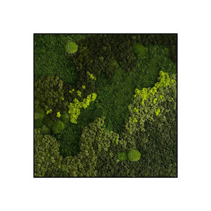 Quadratisches Moosbild Jellina