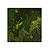 Moswens Quadratisches Moosbild Jellina