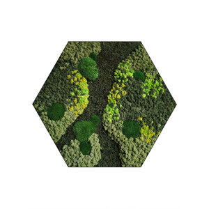 Sechseckiges Moosbild Cyrus