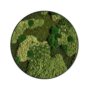 Rundes Moosbild Freya