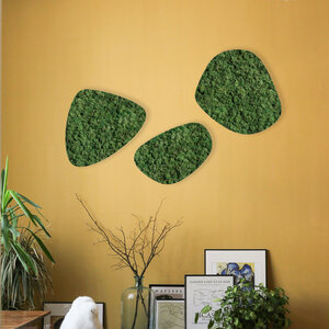 Moosdots-Set Moosbild Forest