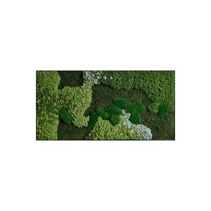 Rechteckiges Moosbild Skye