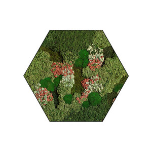 Sechseckiges Moosbild Vienna