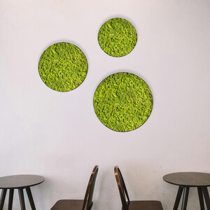 Rundes Moosbild Set Apricis