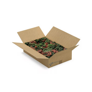 ECO Moos Box L Mix Persici 0,30 m² | Der Billigste