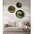 Moswens Rundes Moosbild Set Florielle