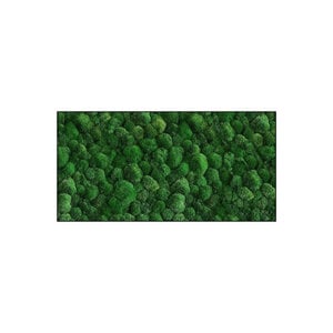 Rechteckiges Moosbild 100% Bulbs inklusive Rahmen