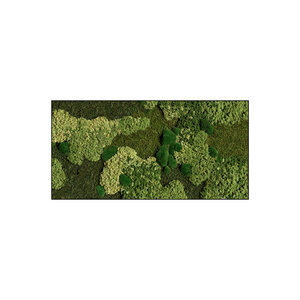 Rechteckiges Moosbild Freya