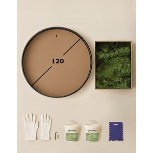 DIY rundes Moosbild 120 cm Flachmoos