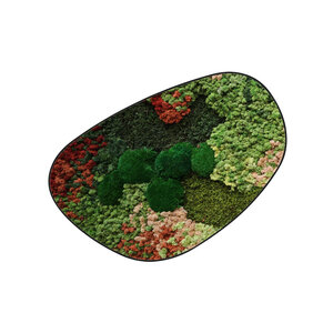 Moosdots Cuatro Moosbild Florielle