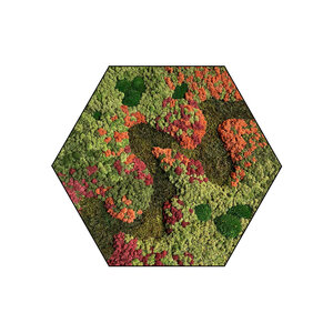 Sechseckiges Moosbild Renovita